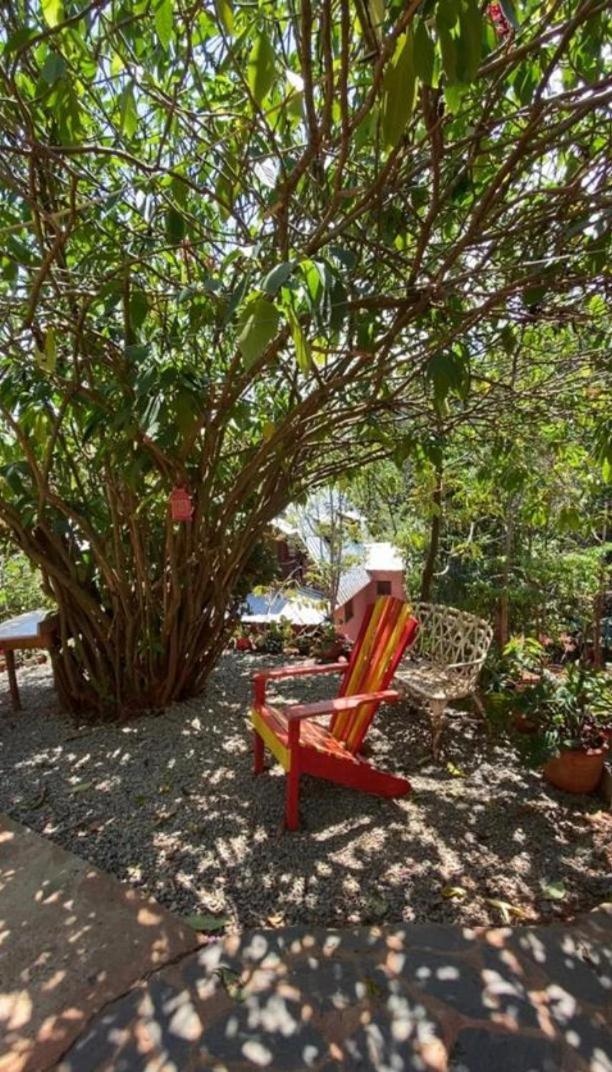 El Campo En Jarabacoa Villa Екстериор снимка